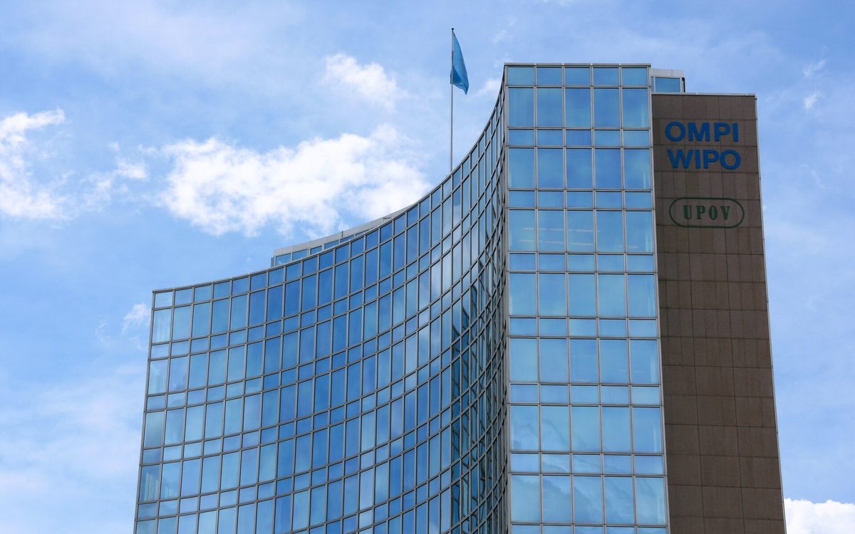 Trademark Infringement Disputes in Internet Domain Name Registration