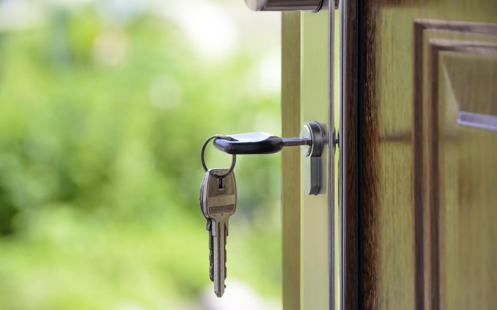 Action for Annulment of Fraudulent Disposition: The Creditor's Remedy When Debtors Hide Assets